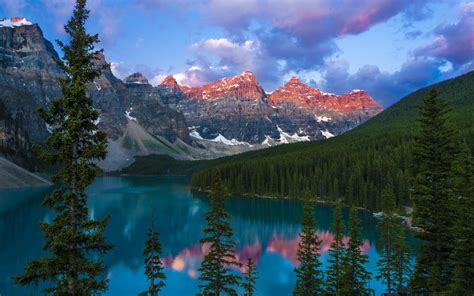 Wallpaper Lake Mountains Forest Trees Canada 1920x1200