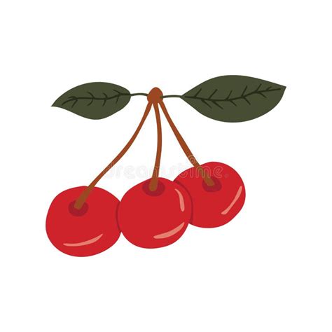 Three Cherries Stock Illustration Illustration Of Illustration 9687385