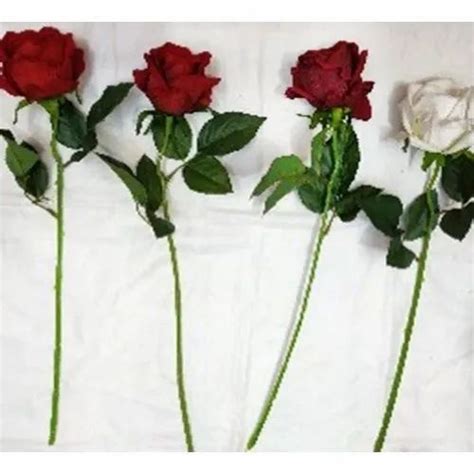 Elen Natural Artificial Rose Single Flower Stick For Homeoffice