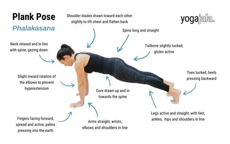 Plank Pose Phalakasana