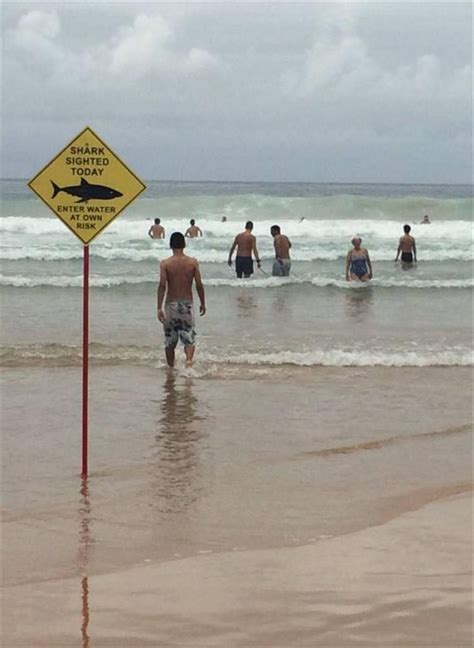 Random Pictures Of The Day 48 Pics Beach Signs Funny Pictures Epic Fail Pictures