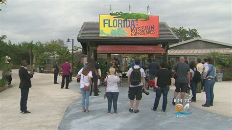 Grand Opening Of Mission Everglades At Zoo Miami Youtube
