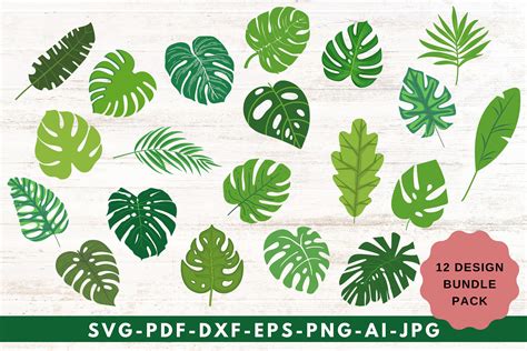 Tropical Leaves Svg Bundle Topical Leaves Clipart Monstera Etsy