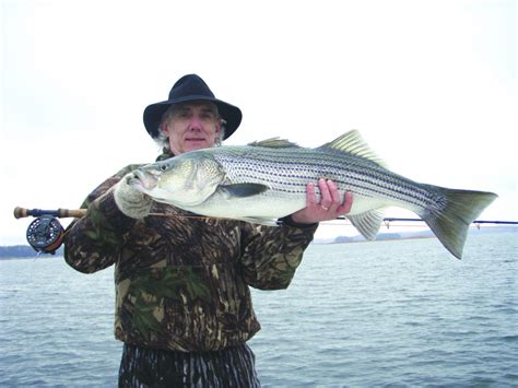 December Fly Fishing Report Coastal Angler And The Angler Magazine