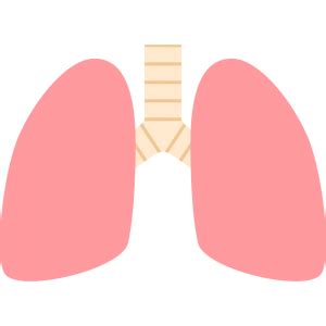 We did not find results for: 最も好ましい 呼吸器 イラスト 800759-小児 呼吸器 イラスト