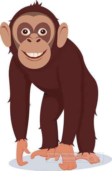 Chimpanzee Clipart Chimpanzee Hangs From Tree Vine Vector Clipart Copy