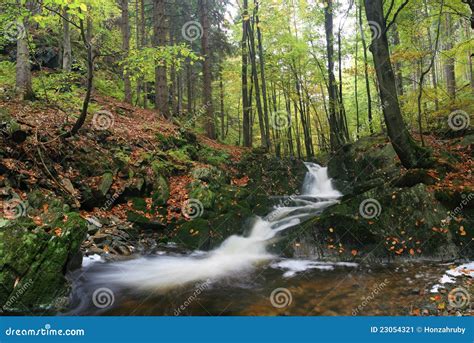 Brook In Autumn Forest Stock Image Image Of Meadow Fall 23054321
