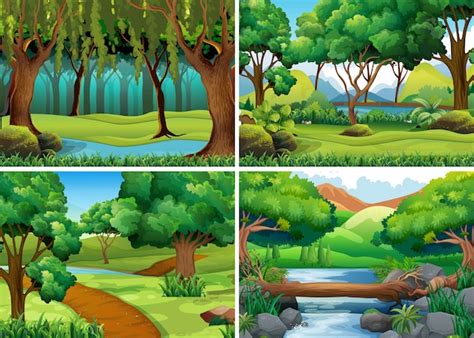 Forest Vectors Photos And Psd Files Free Download