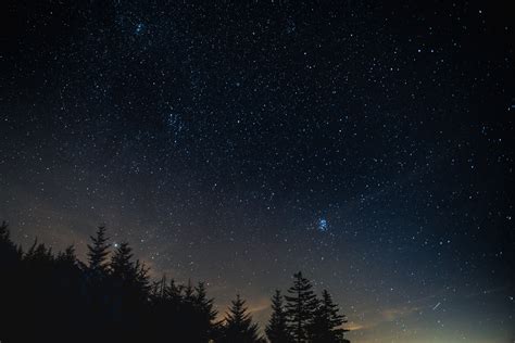 Tapete Sternenhimmel Nacht Bäume Nacht Landschaft Hd Breitbild