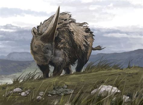 Elasmotherium is an extinct genus of large rhinoceros endemic to eurasia during the late pliocene through the pleistocene, existing from 2.6 ma to at least as late as 39,000 years ago in the late pleistocene. Elasmotherium sibiricum by Jorge Blanco | Prehistoric ...