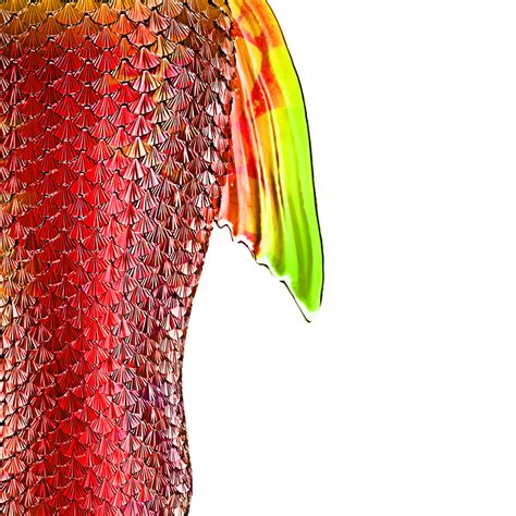 rainbow island red mermaid tail performance tails