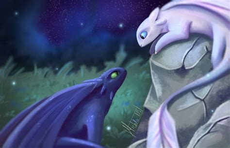 toothless and his light fury white night fury mate in the night how