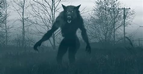 There are a few things to note here: Werewolf Spell Works / Werewolf Spell Without Full Moon ...