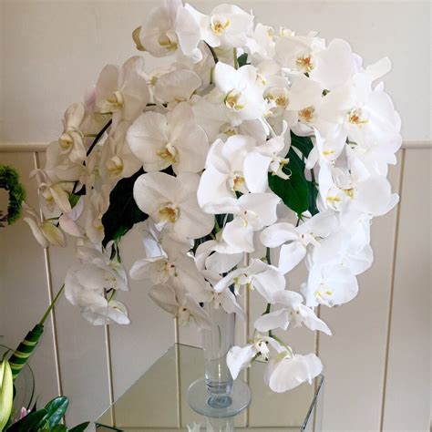 Central la 213/323 ) pic hide this posting restore restore this posting favorite this post Elegant Flowers - 215 Photos & 29 Reviews - Florists ...