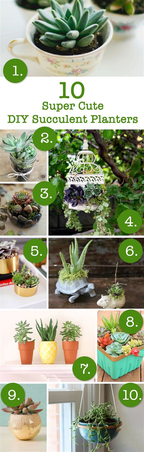 10 Super Cute Ways To Diy Succulent Planters — April Bern