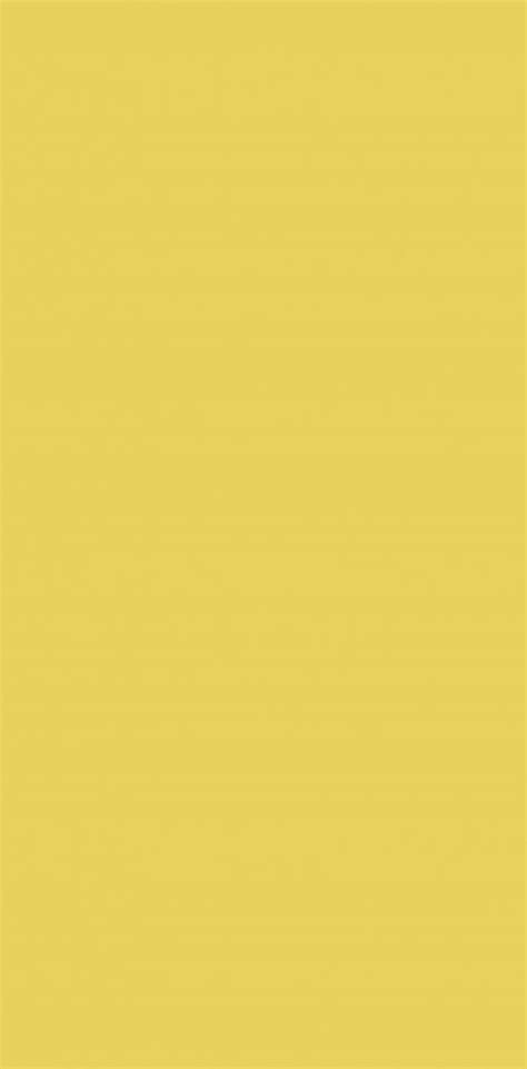 1063 Light Yellow Virgolam