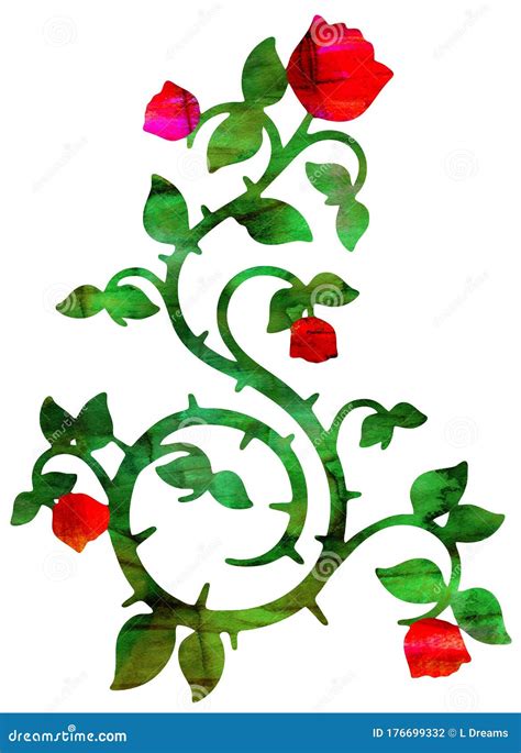 Red Rose Vine Illustration Stock Illustration Illustration Of Roses