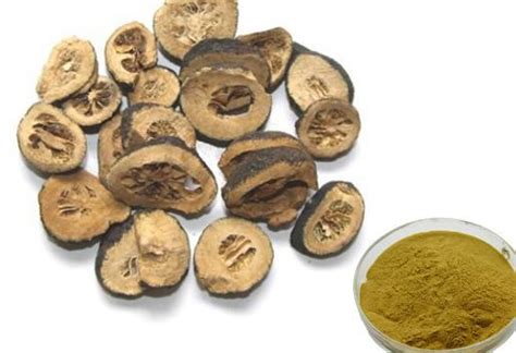 Citrus Aurantium Extract Powder Manufacturer Undersun