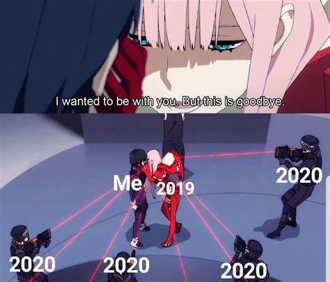 Time For Some Zero Two Memes Ranimemes