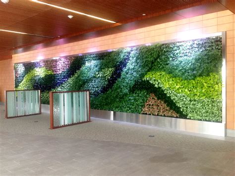 Gskys New Green Wall At Major Medical Provider Transforms Lobby Into