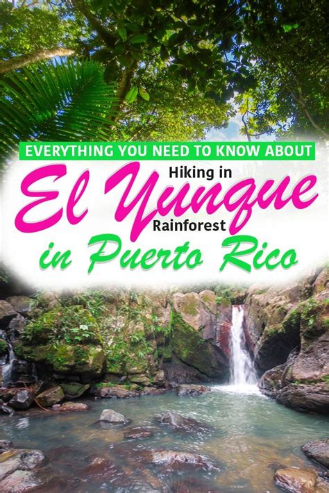 Hiking In El Yunque Rainforest 6 Things To Know Before You Go Nina