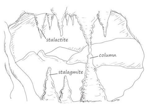 Cave Drawings Nature Drawing Drawings