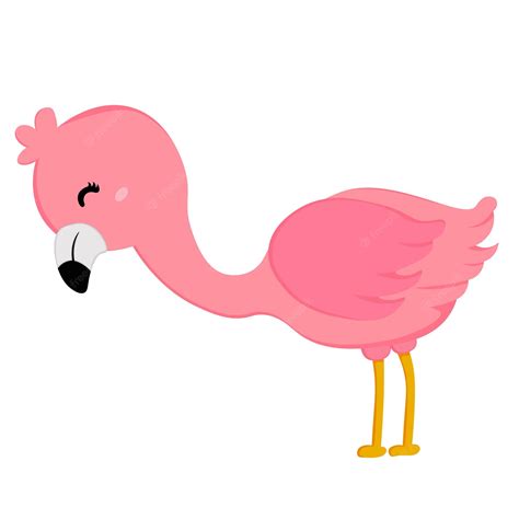 Premium Vector Pink Flamingo Bird Vector Clipart Drawing