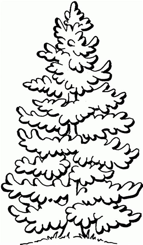 Free Pine Tree Clip Art Pictures Clipartix