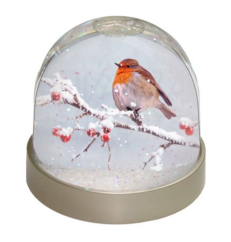 Robin On Snow Berries Branch Snow Dome Photo Globe Waterball Animal Gi