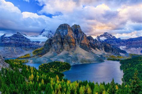 Download Tree Forest Lake Canada Mountain Nature Mount Assiniboine Hd