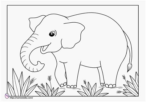 Mewarnai Gambar Gajah Tampak Nyata Contoh Anak Paud Gajah Gambar Riset
