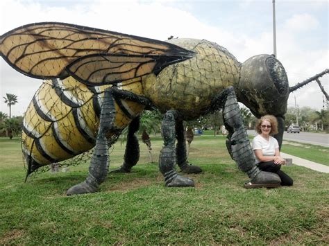 The Worlds Largest Killer Bee Can Be Found In This Texas Town