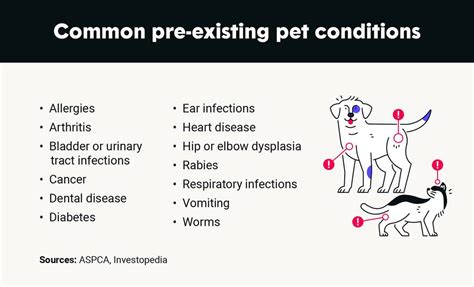 Pet insurance and pre-existing conditions: What you need to know