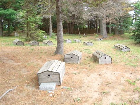 Historic Michigan Tribal Burial Ground Threatened By Coastal Erosion