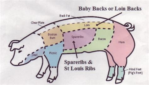 The first seven are connected behind with the vertebral column. How to Pick the Best Bacon & Pork Chops | Delishably