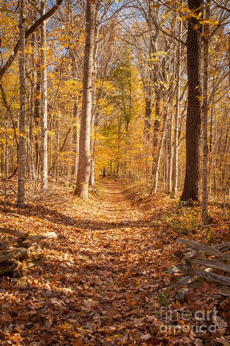 Autumn Trail Natchez Trace Photograph By Brian Jannsen Fine Art America