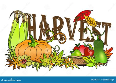 Autumn Harvest Stock Illustration Illustration Of Basket 3497571