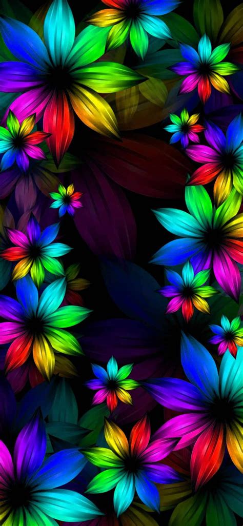 Free Download Download Rainbow Flower Iphone Wallpaper 886x1920 For