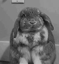 Wifflegif has the awesome gifs on the internets. Laughing GIFs - Find & Share on GIPHY