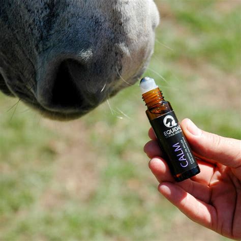 Calm Essential Oils For Horses Reduce Stress And Anxiety Equidae