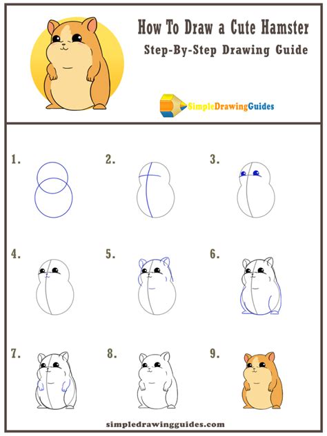 How To Draw A Cute Hamster Step By Step At Drawing Tutorials