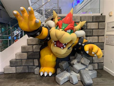 15 Weird Bowser Facts That No One Talks About Funny Gallery Ebaums