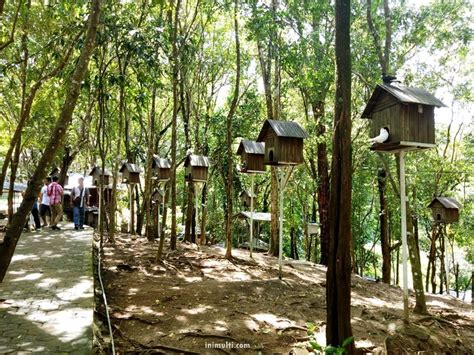 Tanjung Bajau Beach Dan Sinka Zoo Singkawang City Tour Amazing