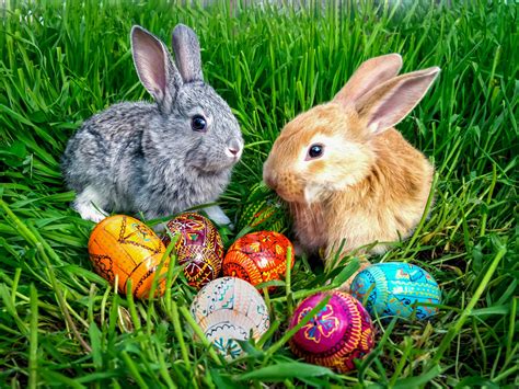 Qué Es La Pascua Y Qué Se Celebra ¡descubre El Origen Y Los Símbolos De Esta Gran Celebración
