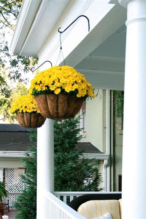 Best Fall Plants For Front Porch - best plants for front porch landscaping
