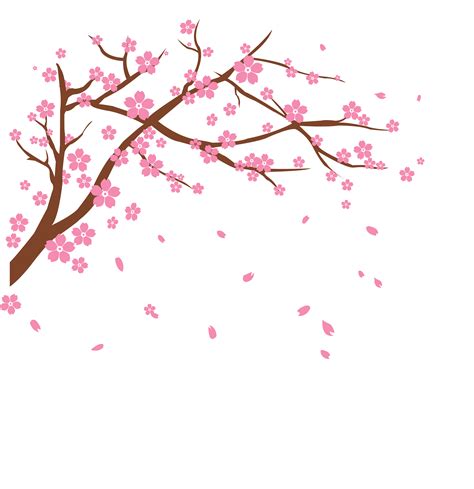 Cherry Blossom Free Png. | PNG Play gambar png