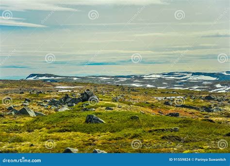 Beautiful Landscape And Scenery Of Norway Green Scenery Of Hills And