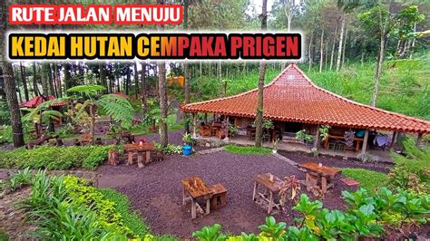 Rute Jalan Menuju Kedai Hutan Cempaka Prigen Pasuruan Youtube