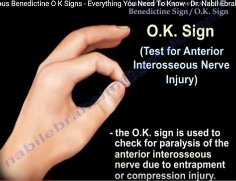 Anterior Interosseous #Nerve OK Signs — OrthopaedicPrinciples.com