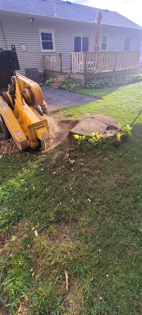 Kevin And Sons Tree Stump Removal Llc Home
